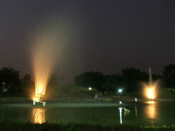 కోట్ల విజయ భాస్కరరెడ్డి బొటానికల్ గార్డెన్