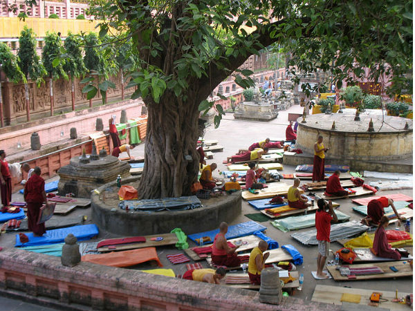 బోధి వృక్షం