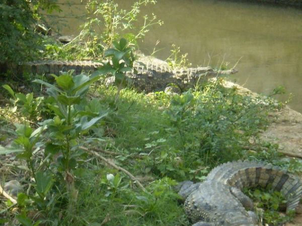 కిన్నెరసాని ... 'జల' సోయగాలు !!