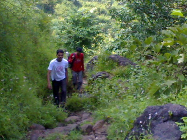 ట్రెక్కింగ్