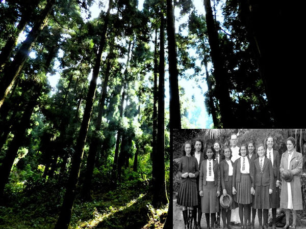 డౌ హిల్ - పశ్చిమ బెంగాల్