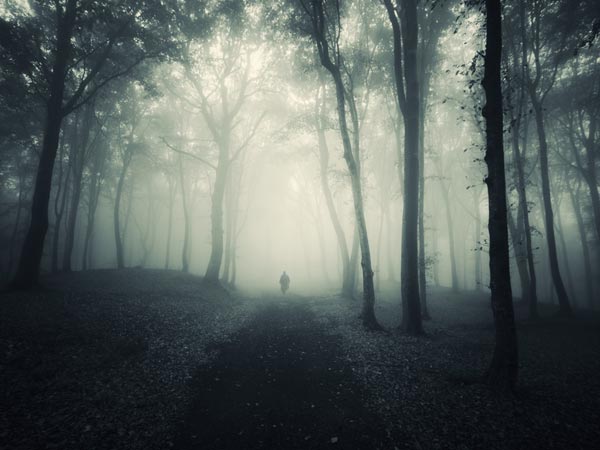 ఢిల్లీ కంటోన్మెంట్ - ఢిల్లీ 