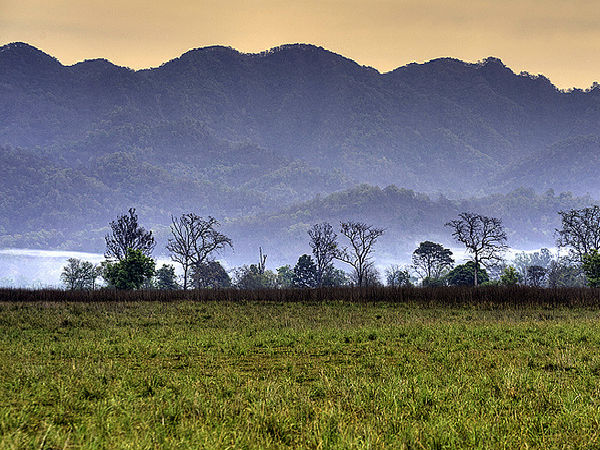 జింకార్బెట్