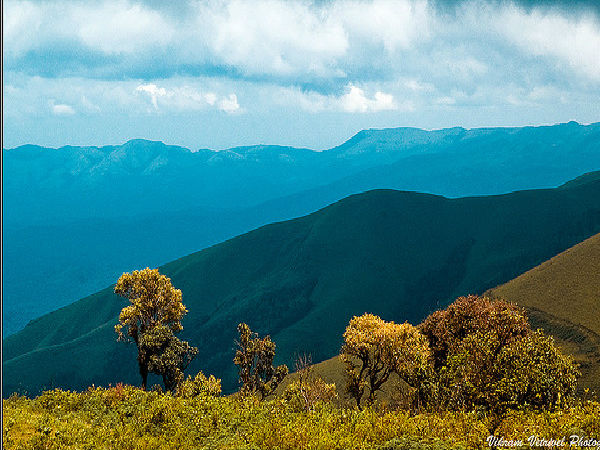 చిక్కమగళూరు