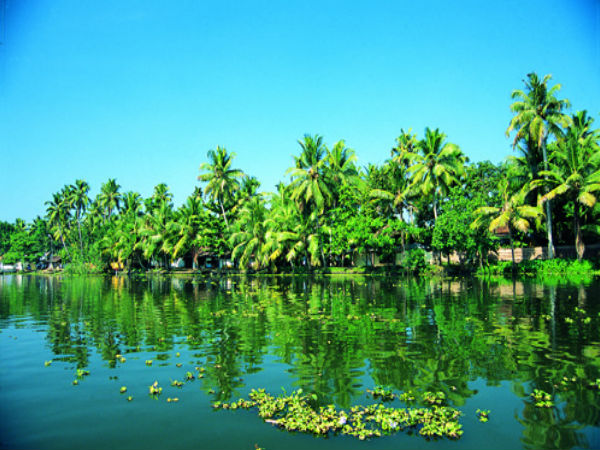 అలప్పుజ 