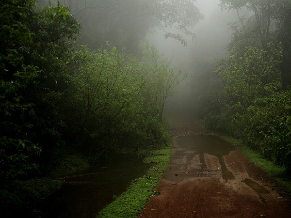 అగుంబే ఎలా చేరుకోవాలి ??