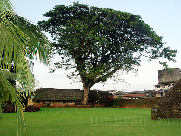 తలాసేరీ ఫోర్ట్