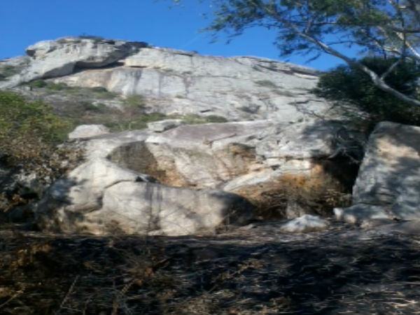 టిప్పూ డ్రాప్‌ 