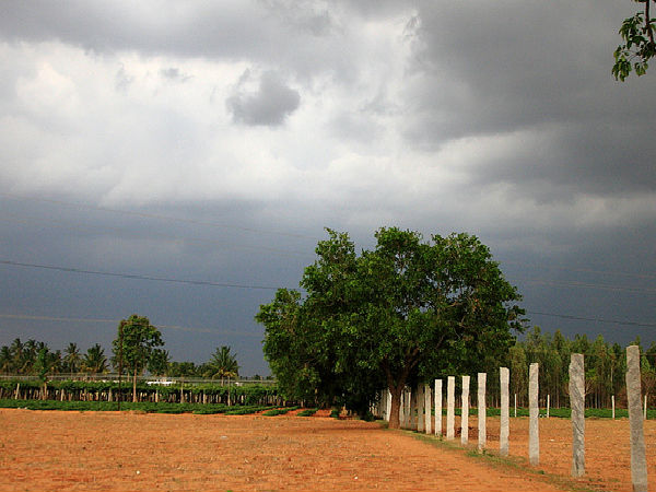 గుర్రాల మార్గం