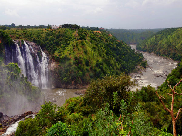 గగన చుక్కి 