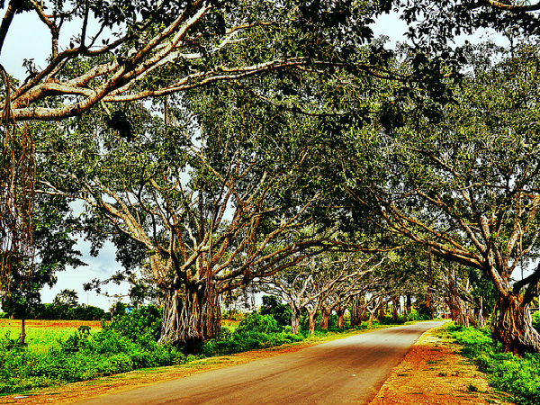 శివసముద్రం ఎలా చేరాలి?