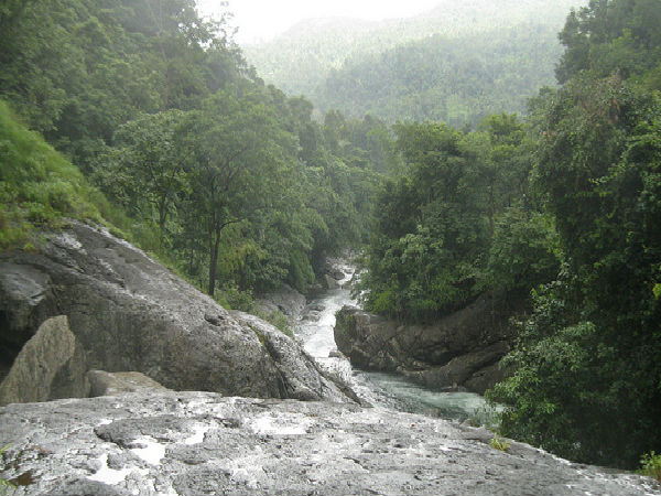 అడ్యన్ పర జలపాతం