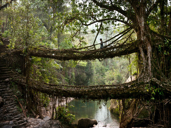 చిరపుంజీ, మేఘాలయ