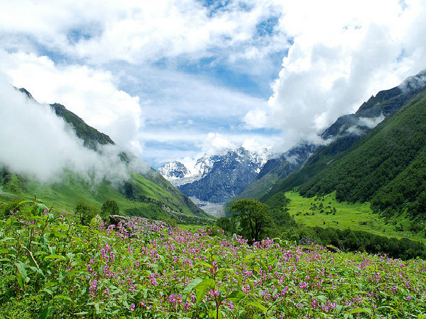 వాలీ ఆఫ్ ఫ్లవర్స్, ఉత్తరాఖండ్ 