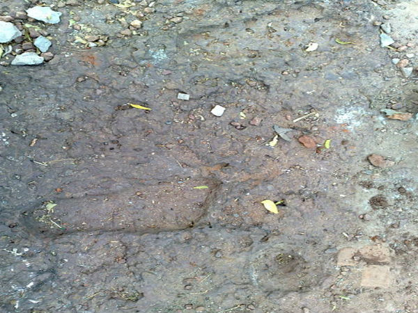 భీముని పాద ముద్రికలు