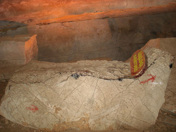 సన్యాసీ పాన్పు