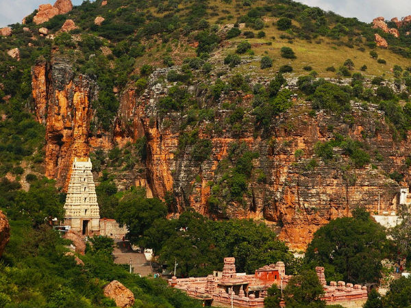 కాకులు కనిపించవు