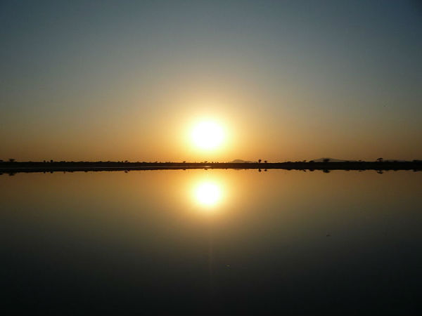 సాంబార్ (రాజస్థాన్) 