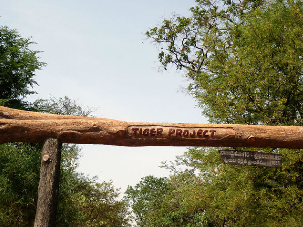 శ్రీశైలం-నాగార్జున సాగర్ అభయారణ్యం