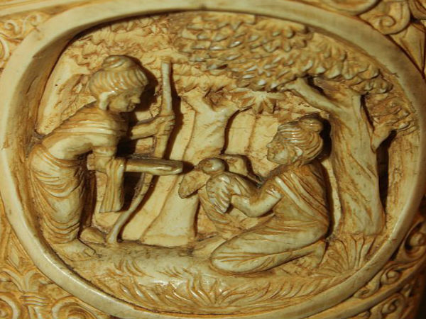 దెబ్బతిన్న పక్షి