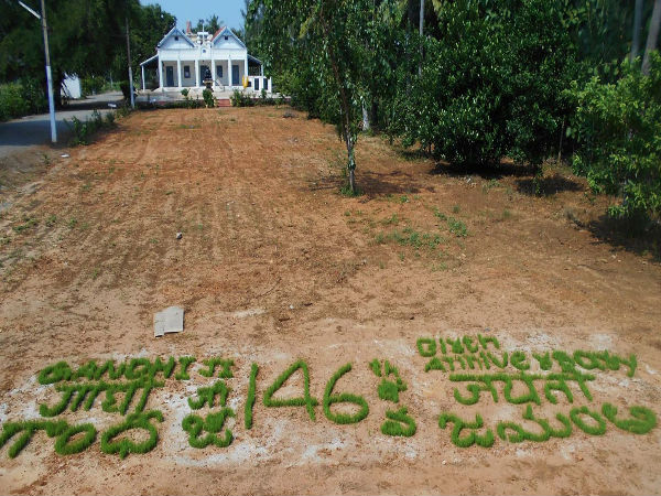 పల్లిపాడు