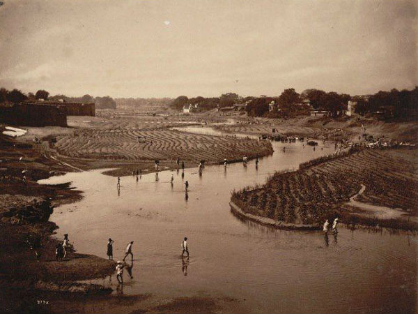 వ్యవసాయం