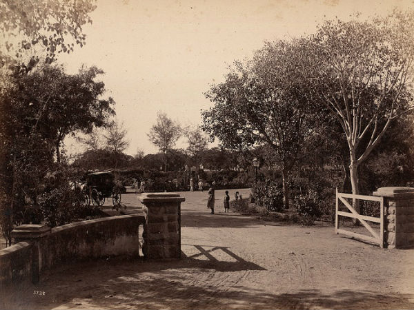 గార్డెన్