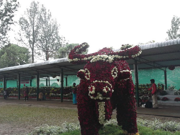 బొటానికల్ గార్డెన్