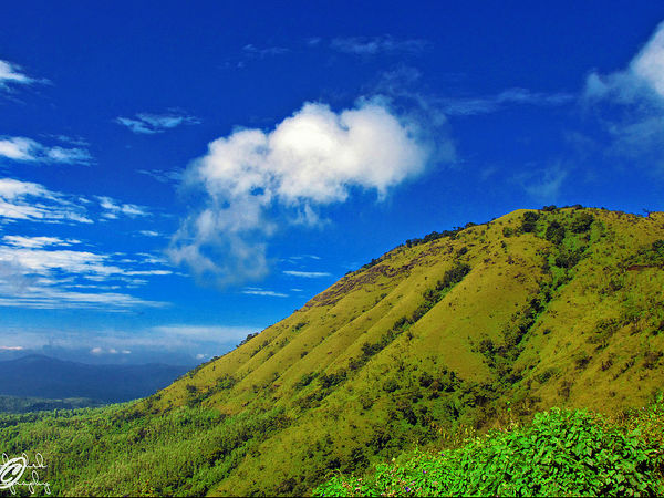 ముల్లాయనగరి శ్రేణులు