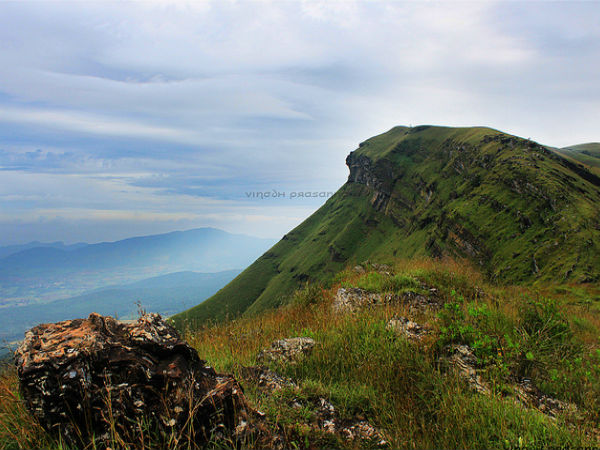 జీ పాయింట్