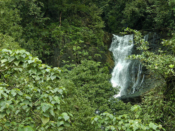 కాదాంబి జలపాతాలు