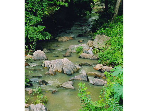 చిక్కమగళూరు సహజ అందాలు