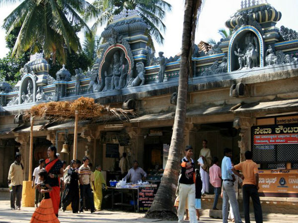 చిక్కమగళూరు సహజ అందాలు