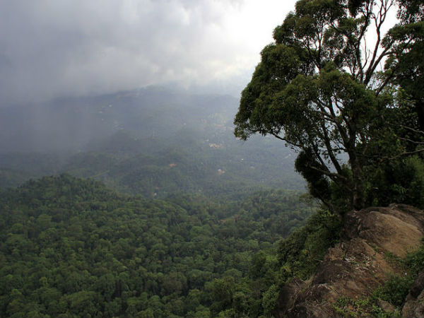 నీలిమల వ్యూ పాయంట్ 