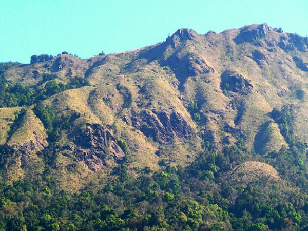 మరిన్ని ఫొటోలతో ...