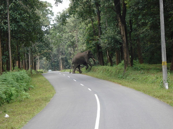 మరిన్ని ఫొటోలతో ...
