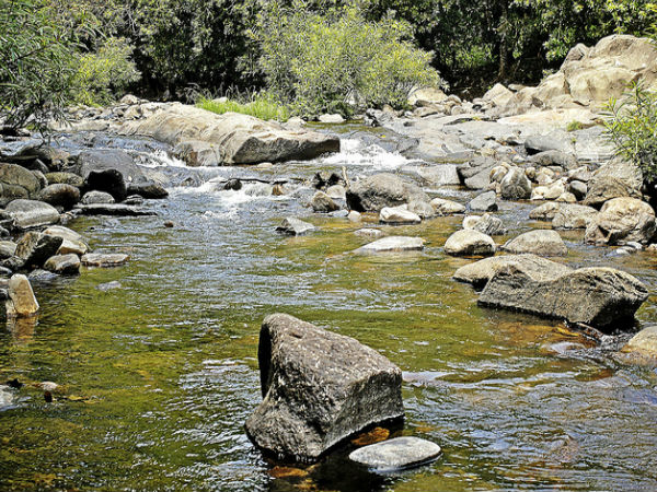 మరిన్ని ఫొటోలతో ...