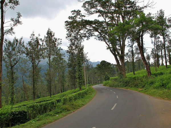 వయనాడ్ ఎలా చేరుకోవాలి ??