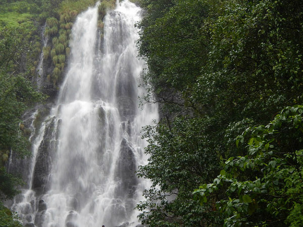 అంబోలి జలపాతాలు