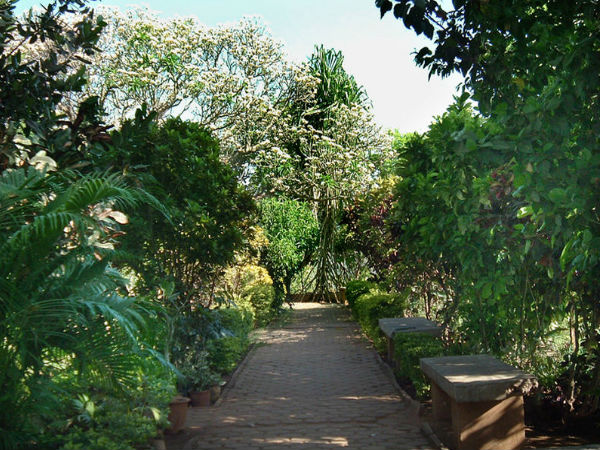 ఉద్యానవనం