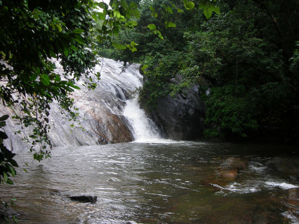 ధోనీ జలపాతాలు, పాలక్కాడ్