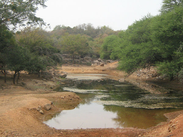 మృగవాణి నేషనల్ పార్క్ , హైదరాబాద్