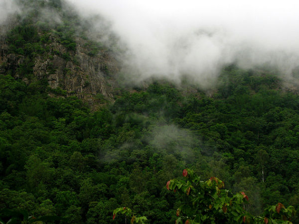 సైలెంట్ వ్యాలీ నేషనల్ పార్క్, కేరళ