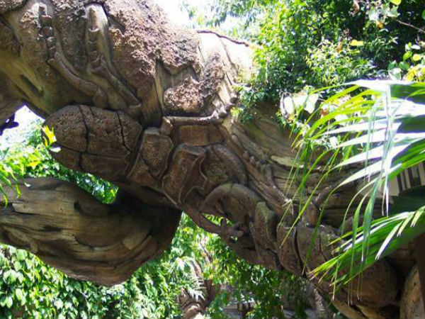 మిస్టరీల చెట్టు దృశ్యాలలో ..!