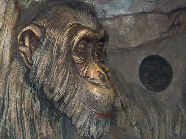 మిస్టరీల చెట్టు దృశ్యాలలో ..!