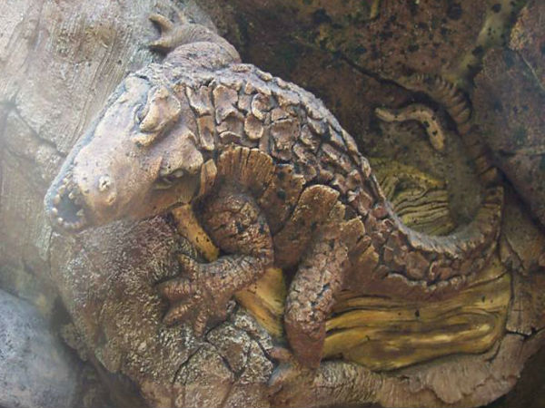 మిస్టరీల చెట్టు దృశ్యాలలో ..!