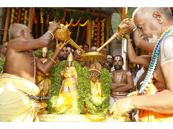 వెంకటేశ్వర స్వామి సన్నిధి, తిరుపతి