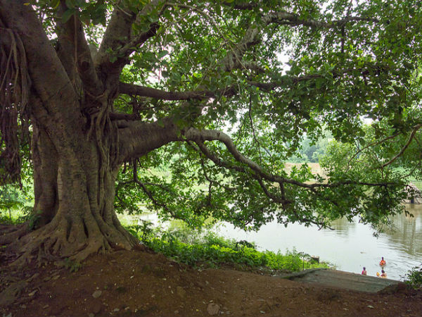 దెంకనల్, ఒడిషా