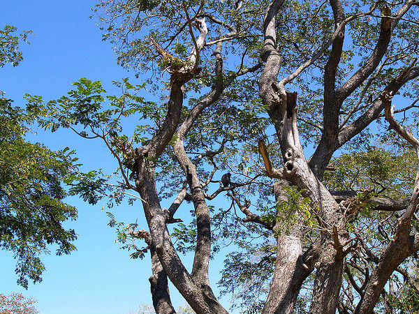 కరంజియా మరియు చుట్టూ ఉన్న పర్యాటక స్థలాలు