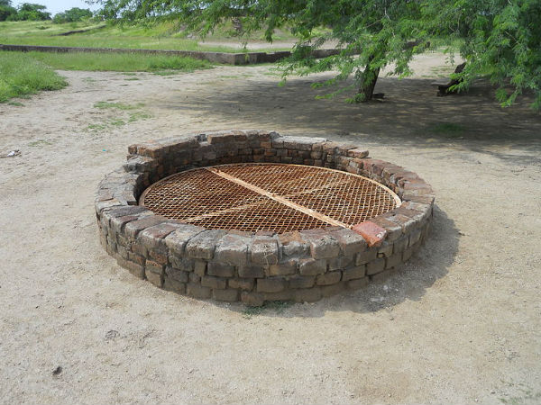 మంద, జమ్ముకాశ్మీర్